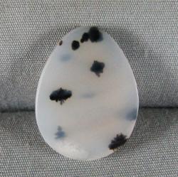 Montana Agate Cabochon