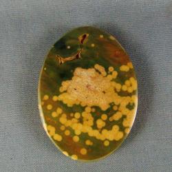 Ocean Jasper Cabochon
