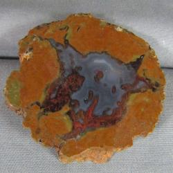 Priday Plume Agate polished face slab