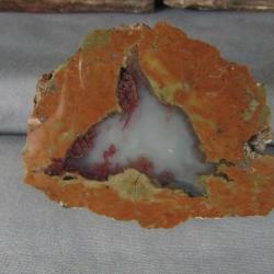 Priday Plume Agate polished face half