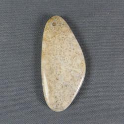 Indonesian Fossil Coral Cabochon