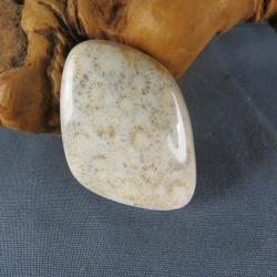 Indonesian Fossil Coral Cabochon