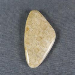 Indonesian Fossil Coral Cabochon
