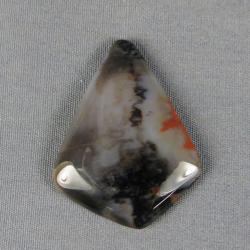Petrified Wood Cabochon