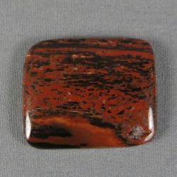 Petrified Wood Cabochon