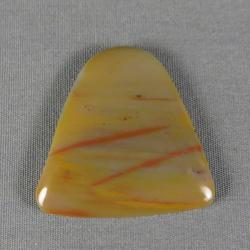 Petrified Wood Cabochon