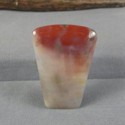 Petrified Wood Cabochon