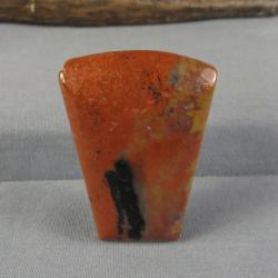 Petrified Wood Cabochon