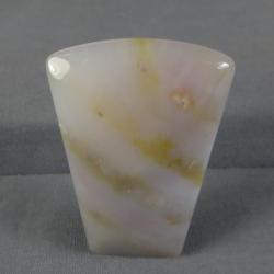 Petrified Wood Cabochon