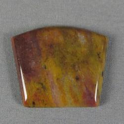 Petrified Wood Cabochon