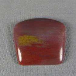 Petrified Wood Cabochon