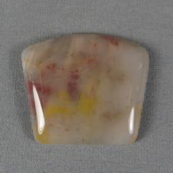 Petrified Wood Cabochon
