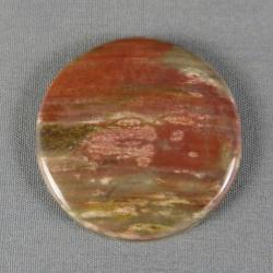 Petrified Wood Cabochon