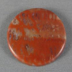 Petrified Wood Cabochon