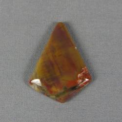 Petrified Wood Cabochon