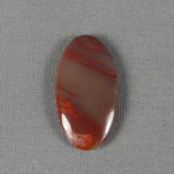 Petrified Wood Cabochon