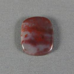 Petrified Wood Cabochon