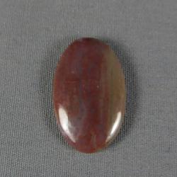 Petrified Wood Cabochon