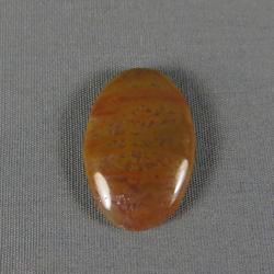 Petrified Wood Cabochon
