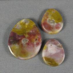 Petrified Wood Cabochon SET