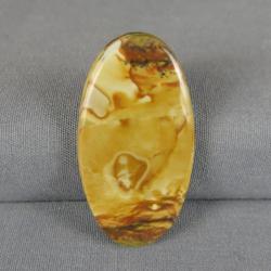 Rocky Butte Picture Jasper Cabochon