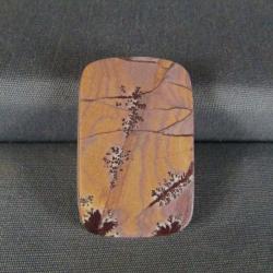 Sonoran Dendritic Rhyolite Cabochon