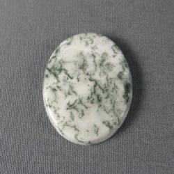 Tree Agate Cabochon