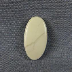 Willow Creek Jasper Cabochon