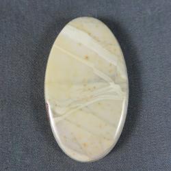 Willow Creek Jasper Cabochon